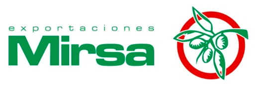 Logo - Captura de Pantalla 2026-04-26 a la(s) 21.34.54.png